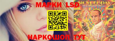 apvp Кунгур