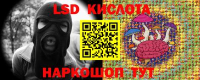 apvp Кунгур