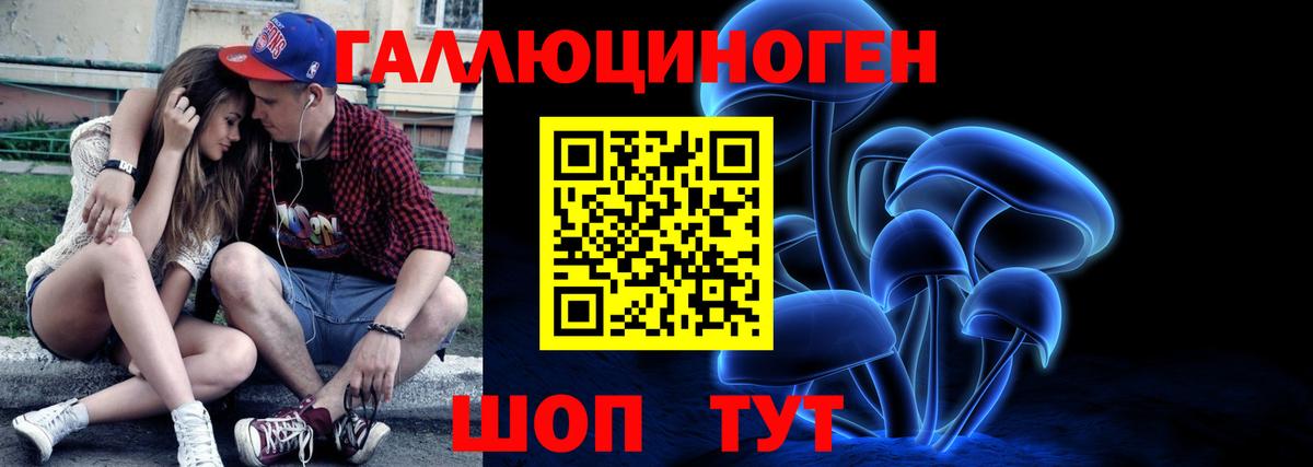 Псилоцибиновые грибы Psilocybe Дербент
